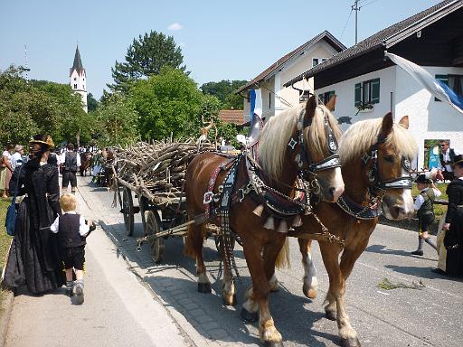 P1030240.JPG