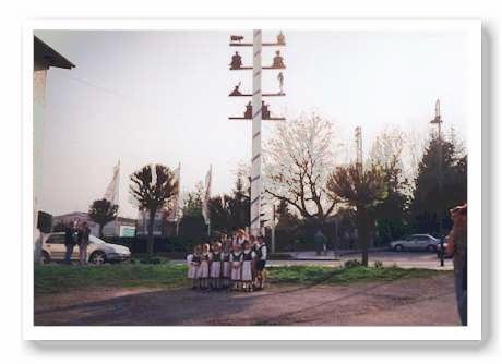 maibaum2ks.jpg