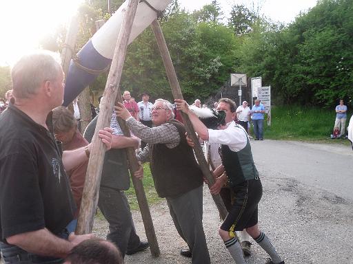 Maibaumaufstellen 034.jpg