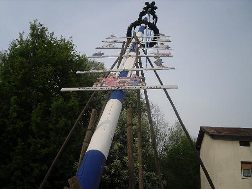Maibaumaufstellen 041.jpg