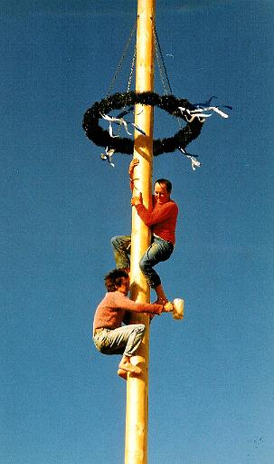maibaum_10 001.jpg