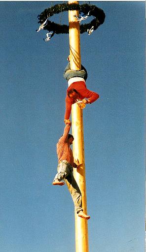 maibaum_12 001.jpg