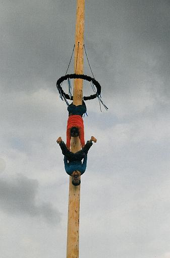 maibaum_15-95 001.jpg