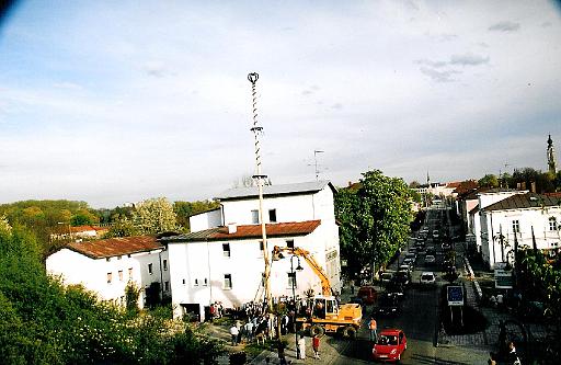 maibaum_16 001.jpg