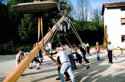 maibaum_18 001.jpg