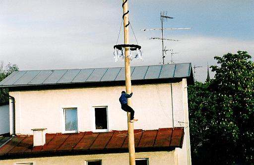 maibaum_19 001.jpg