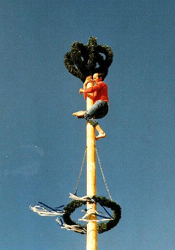 maibaum_2 001.jpg