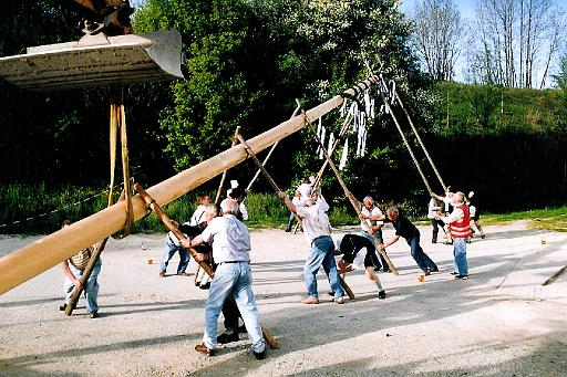 maibaum_21 001.jpg