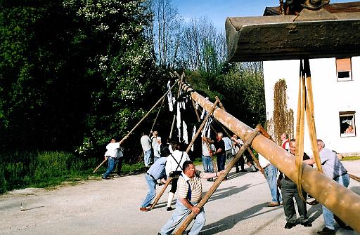 maibaum_22 001.jpg