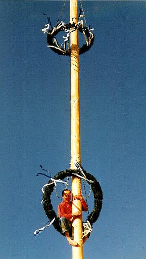 maibaum_5 001.jpg