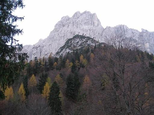 PA260840.jpg